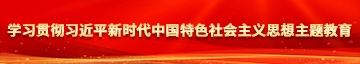 黑大吊操粉逼学习贯彻习近平新时代中国特色社会主义思想主题教育